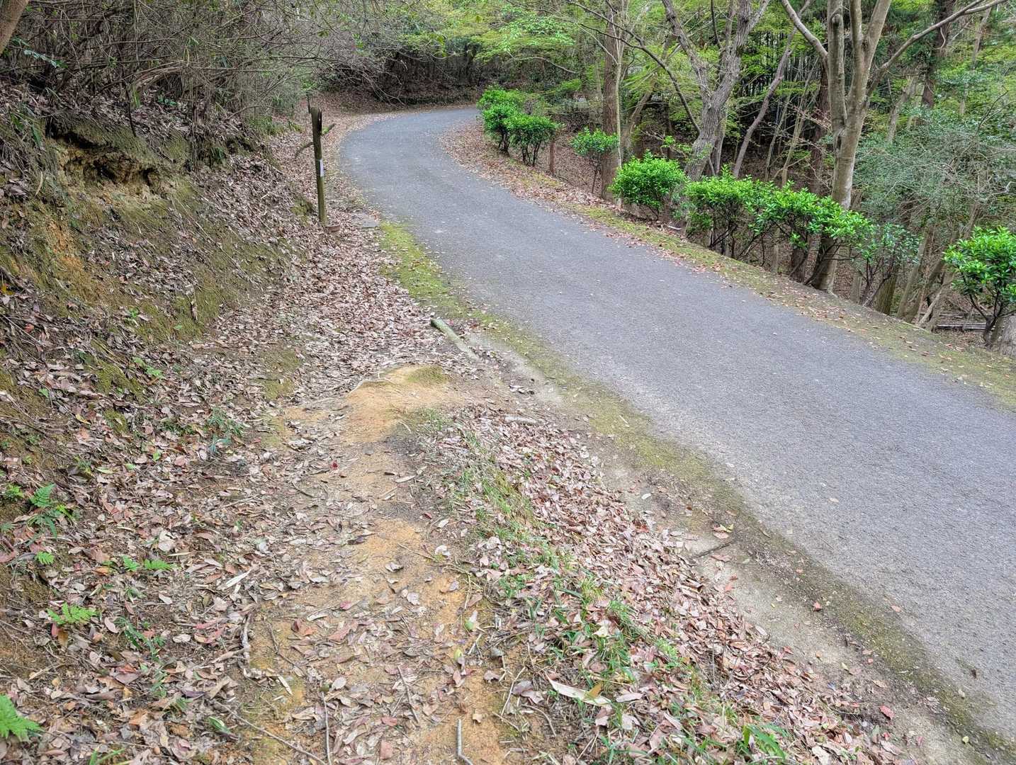 舗装路まで降りてきました。あとは舗装路を駐車場まで戻りました。
善光寺山と二子山でした✨
