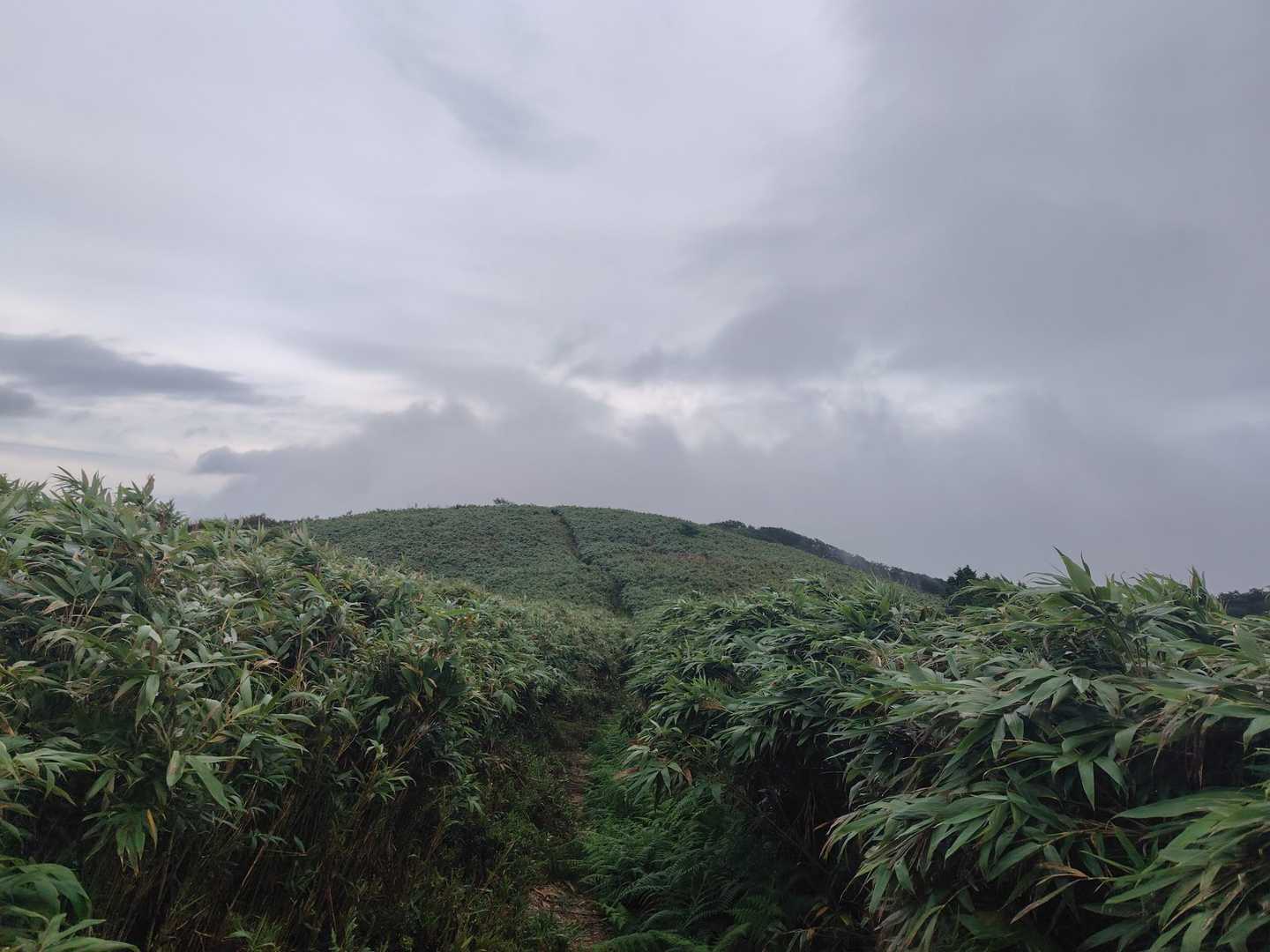 津黒山 往復コースの写真