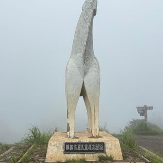 押す❗️ご無沙汰でやんす😆
1年以上ぶりです😅