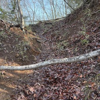 これは通行禁止⁇
倒れてるだけ⁇

跨いで進んだが間違いでした
かなり歩いて行ってしまった