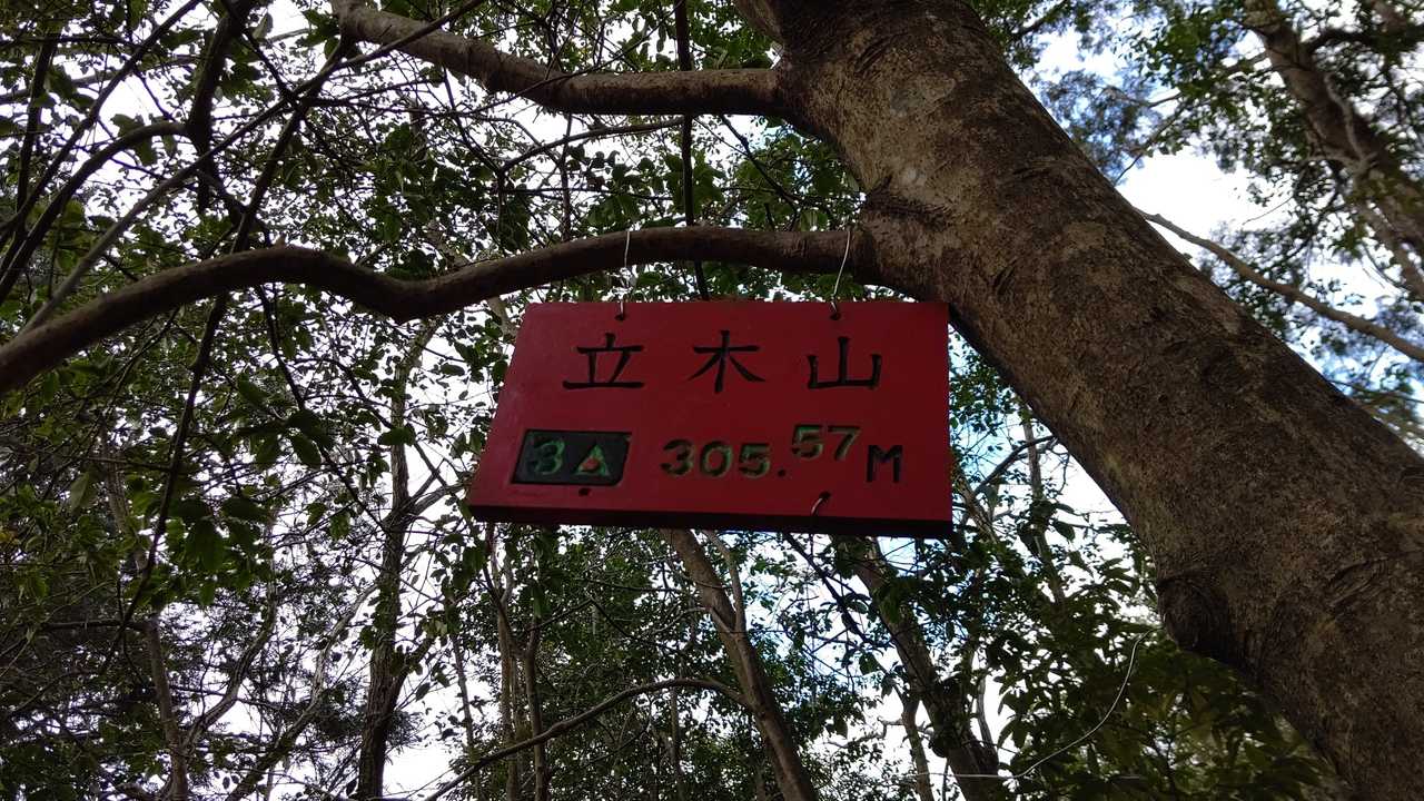 立木山🚩305m