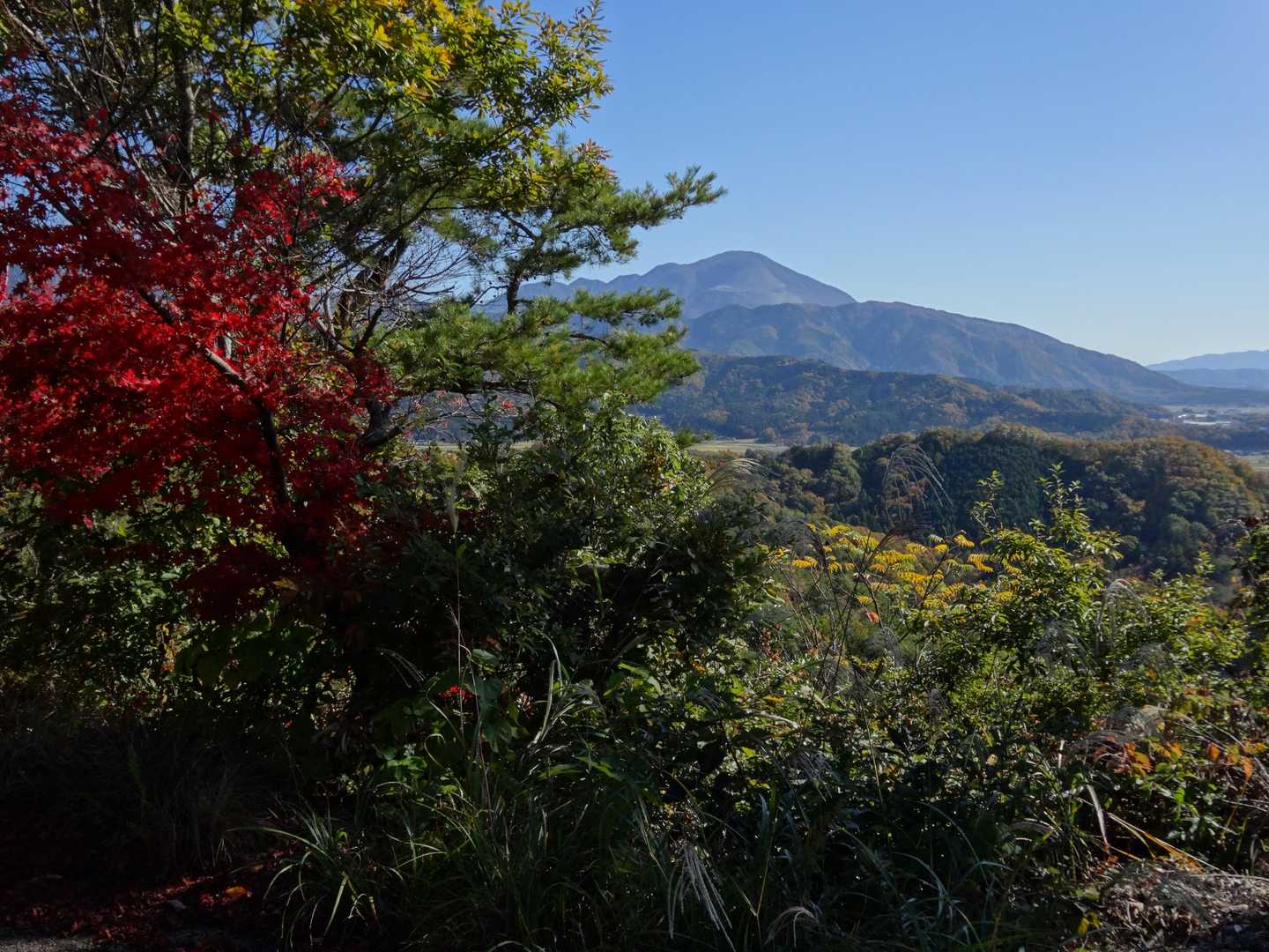 伊吹山を望む