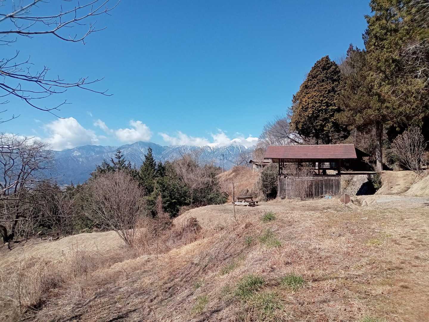 春らしくなってきました