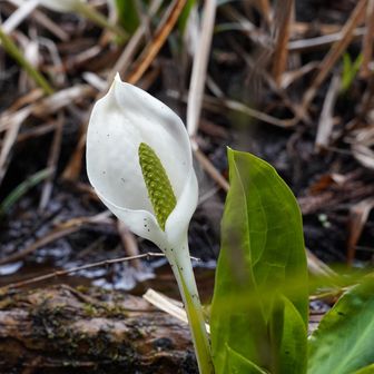 皆んな元気😃です。
