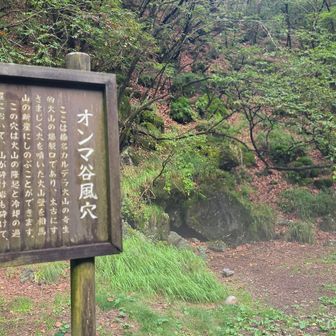 風穴涼しい～🌁