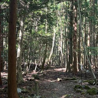 漸くツルベ谷出会まで戻ってきました。