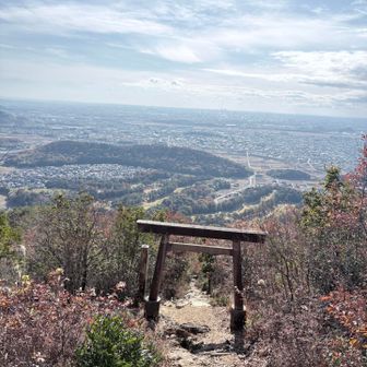鳥居の上から、街を見下ろすなんて🥹
ここからずっと下りの階段なので
登る側になったらきついと思う。