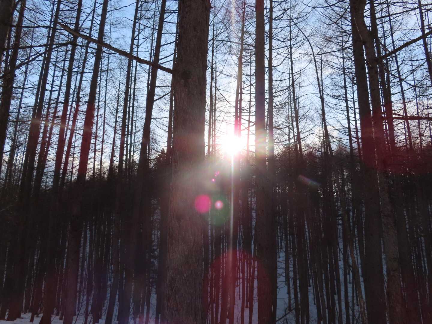 お日さま登ってきたよ～