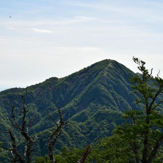 蛭ヶ岳への道。
いつかチャレンジしたいですが、相当体力が必要。