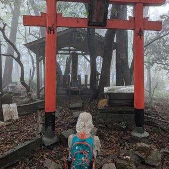 摩耶山の天狗岩大神にご挨拶🙏
通算70回目の摩耶山でした🖐️✌️