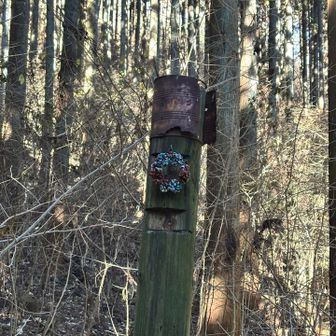 クリスマスになってる🤶