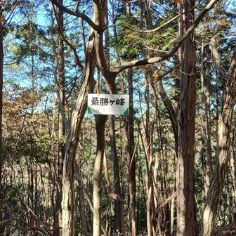 縁起よさげなネームプレートを拝む