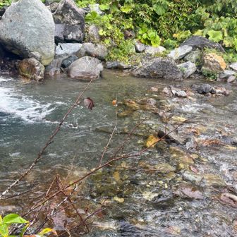 2日目山頂アタックの日
渡渉部分