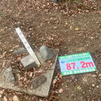 ここかな？山頂。