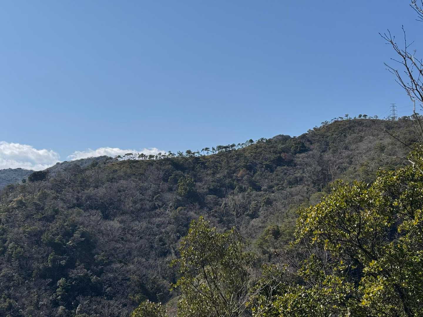 西尾根ルート？が見えます。