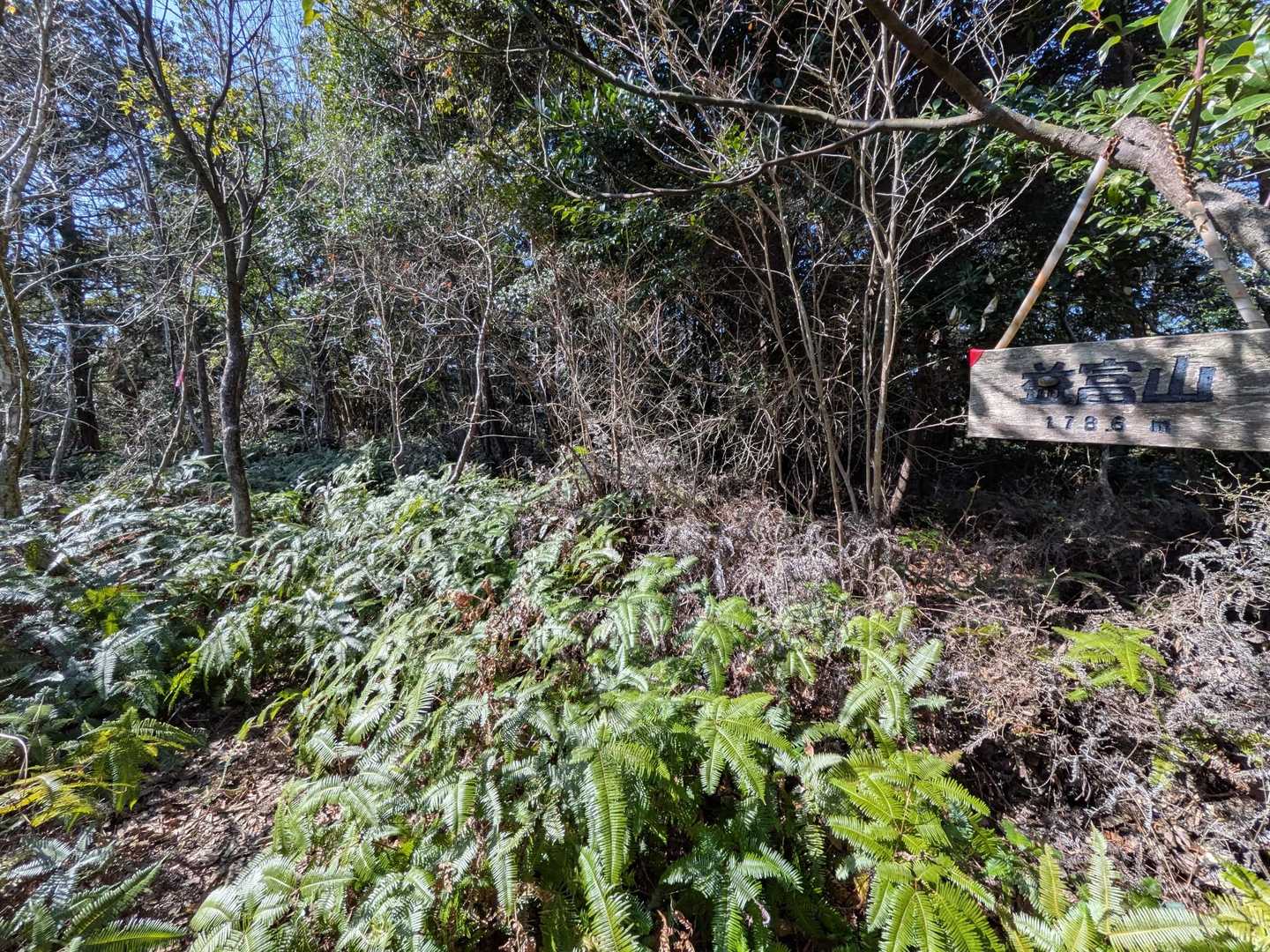 キターーーっ!!
益富山▲とうちゃこ

しだしだの山頂でした🌿