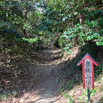 瑠璃光寺の奥に標識