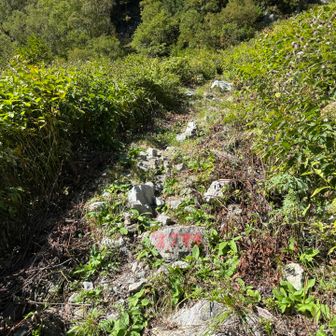 涸沢方面との分岐