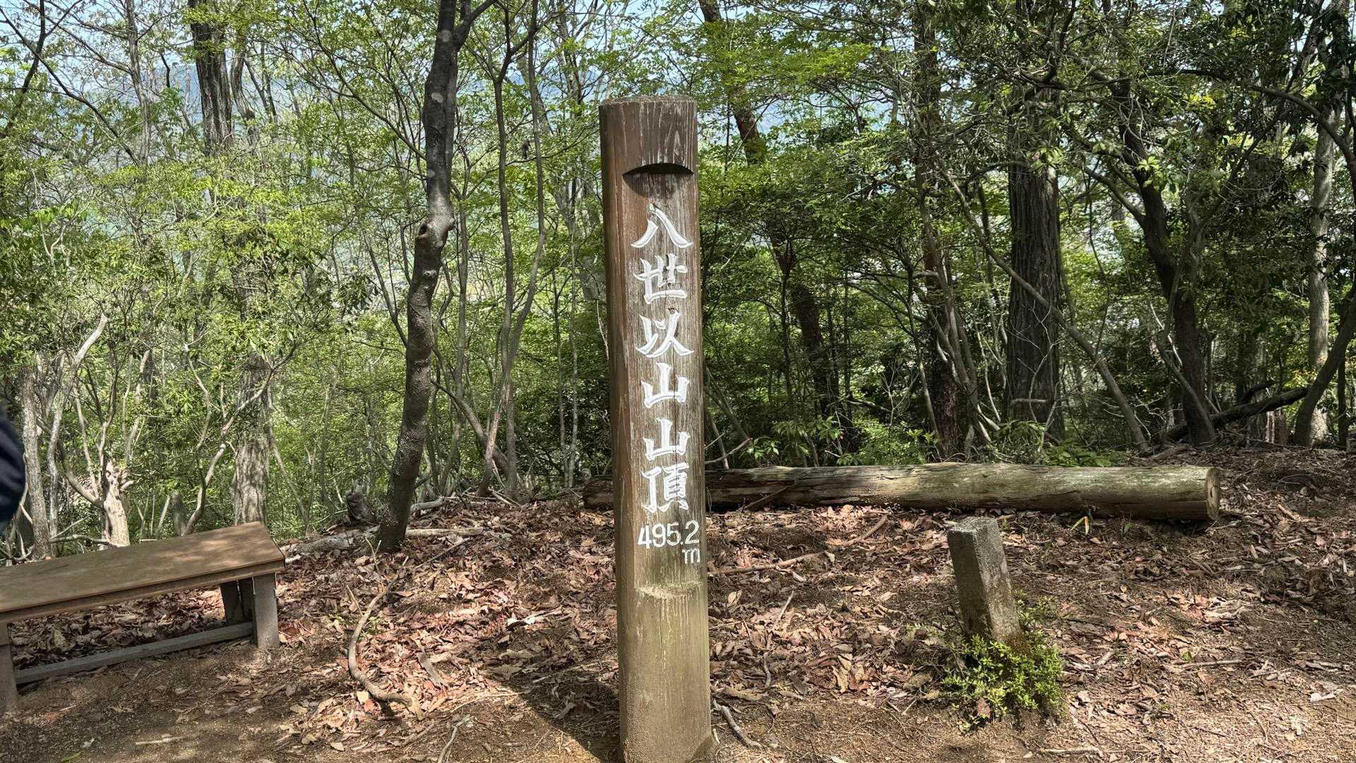 八世以山登頂　アルピナさんはなだらかと言うけれど。。。なかなかよ。