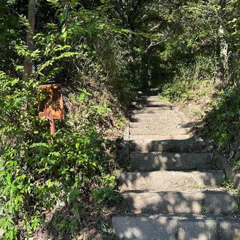 久しぶりの山。
トイレのある駐車場に停めるつもりがうっかり上まで来てしまったので虚無のロード歩き