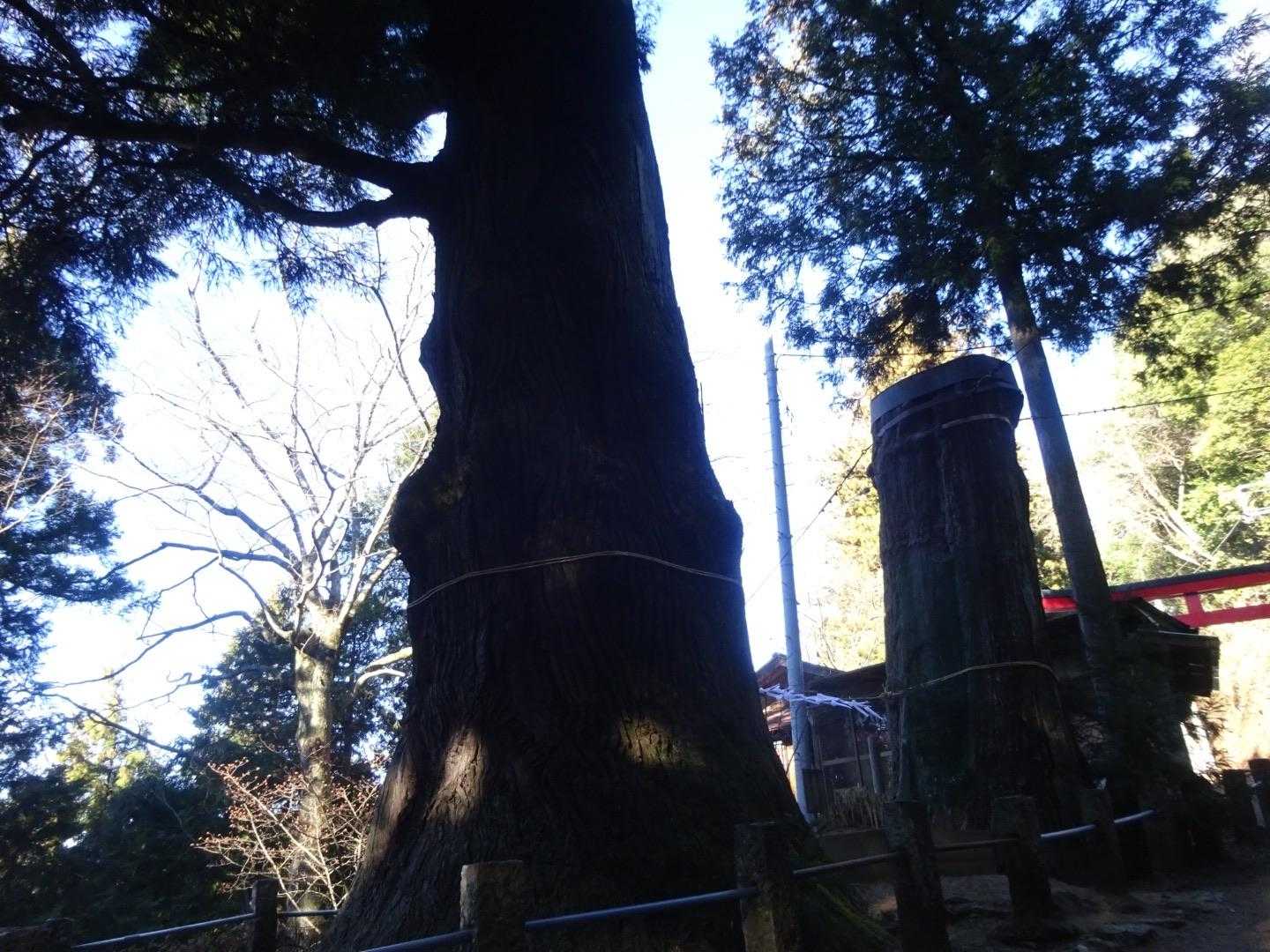 阿字山から下ってきて
25枚目で二本杉とあったけど、こういう事だったのですね。
