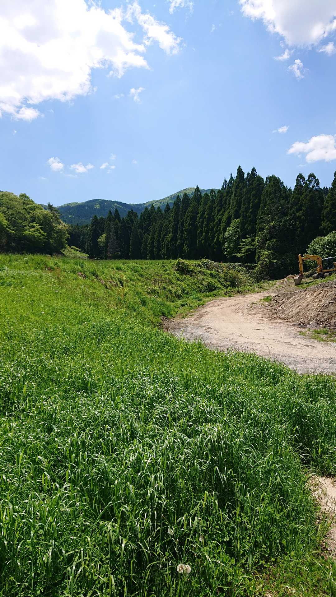 最初は林道です。