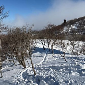 蛇を見に戻ります。
お腹も空いたし、ここの登りが地味に辛かった