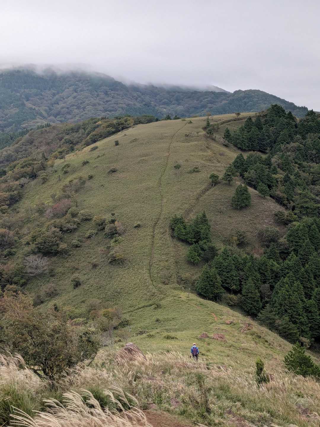 この稜線を歩きたかったんよね🎶
晴れてたらサイコーやったやろうに…