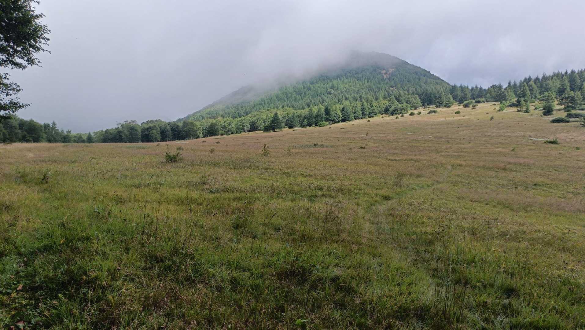 草原が広がります☀
正面に見えるは安家森🏔️
山頂がガスってます🌫️