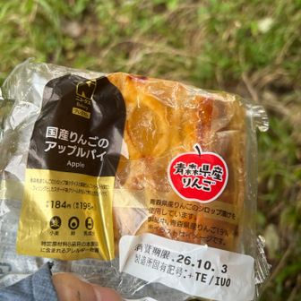 アップルパイを食べて一服
