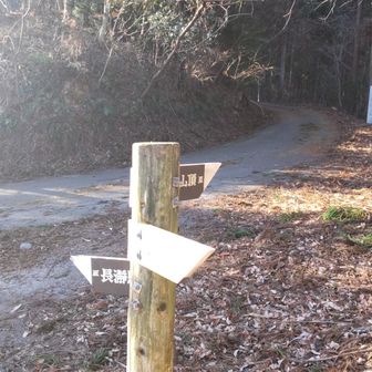 ここからしばらく車道歩き