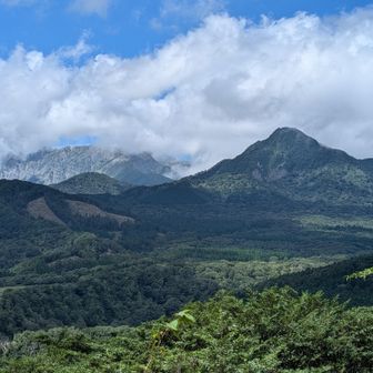 大山は雲の中😅