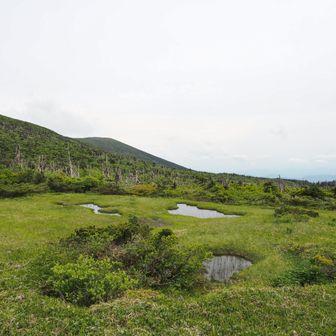 芝草平を少し奥にやってきました。