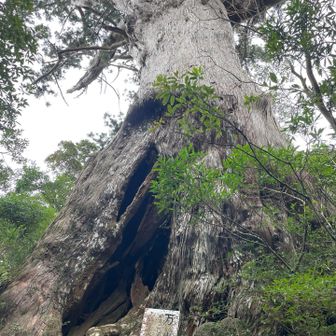 圧倒されました。