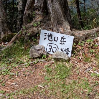 北峰山頂がNo.30で最後。No.29は見かけなかったけどジャンクションなんだろうか。