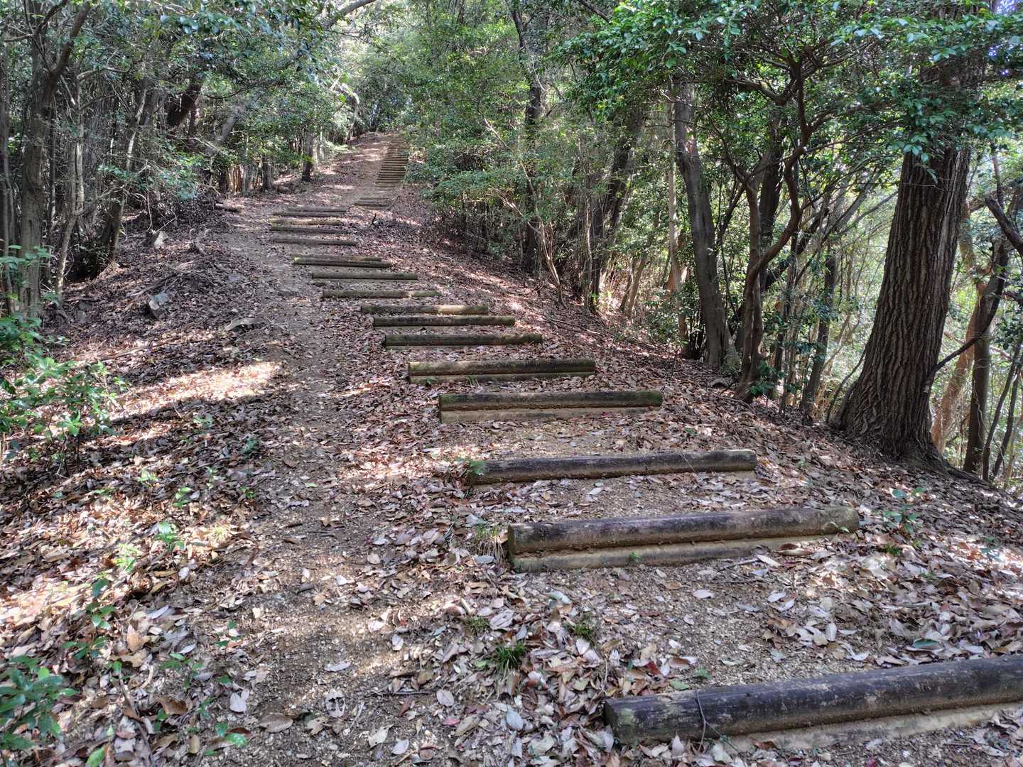 木段が整備され広く歩き易い登山道です(^.^)
ちょっとアップダウンが有ります😭