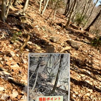 ♡が現れるのは12/3〜1/20までの13:20〜13:45だそうです！