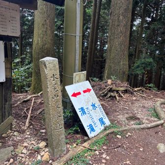 水尾の分かれ