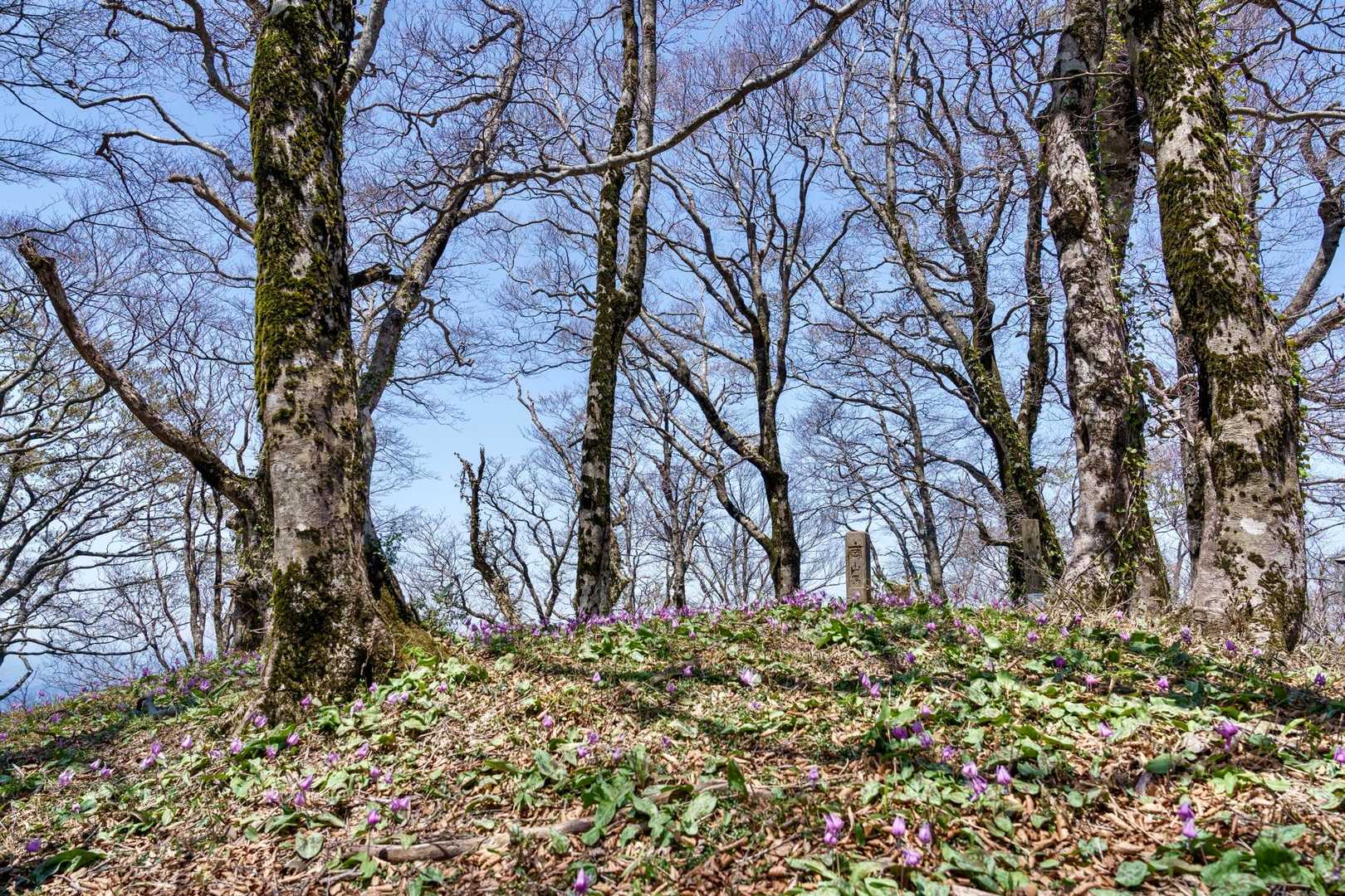 少し広くなったこの場所は
三座の分岐点でもあり岡山と鳥取の県境でもある

ここで休憩する人も多く、友達がピーク取りに行っている間私は大山見ながらゆっくりランチ🍙