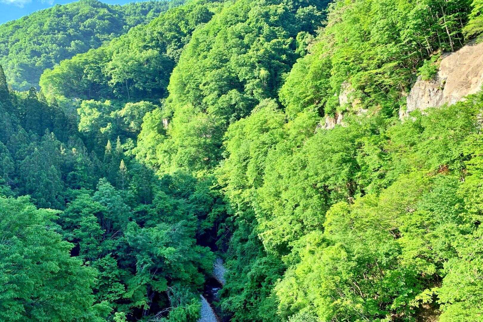 【松川渓谷】豊かな自然を庭園に見立てた風流な山歩道の写真