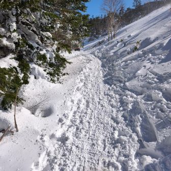 縞枯山への道🚶🚶