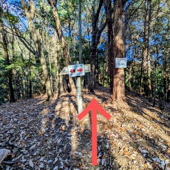 ⚠️少し迷ったので補足📝

山頂へ向うには、看板🪧では右方向⇒
って表示されてますが、赤矢印方向へ進みます!!