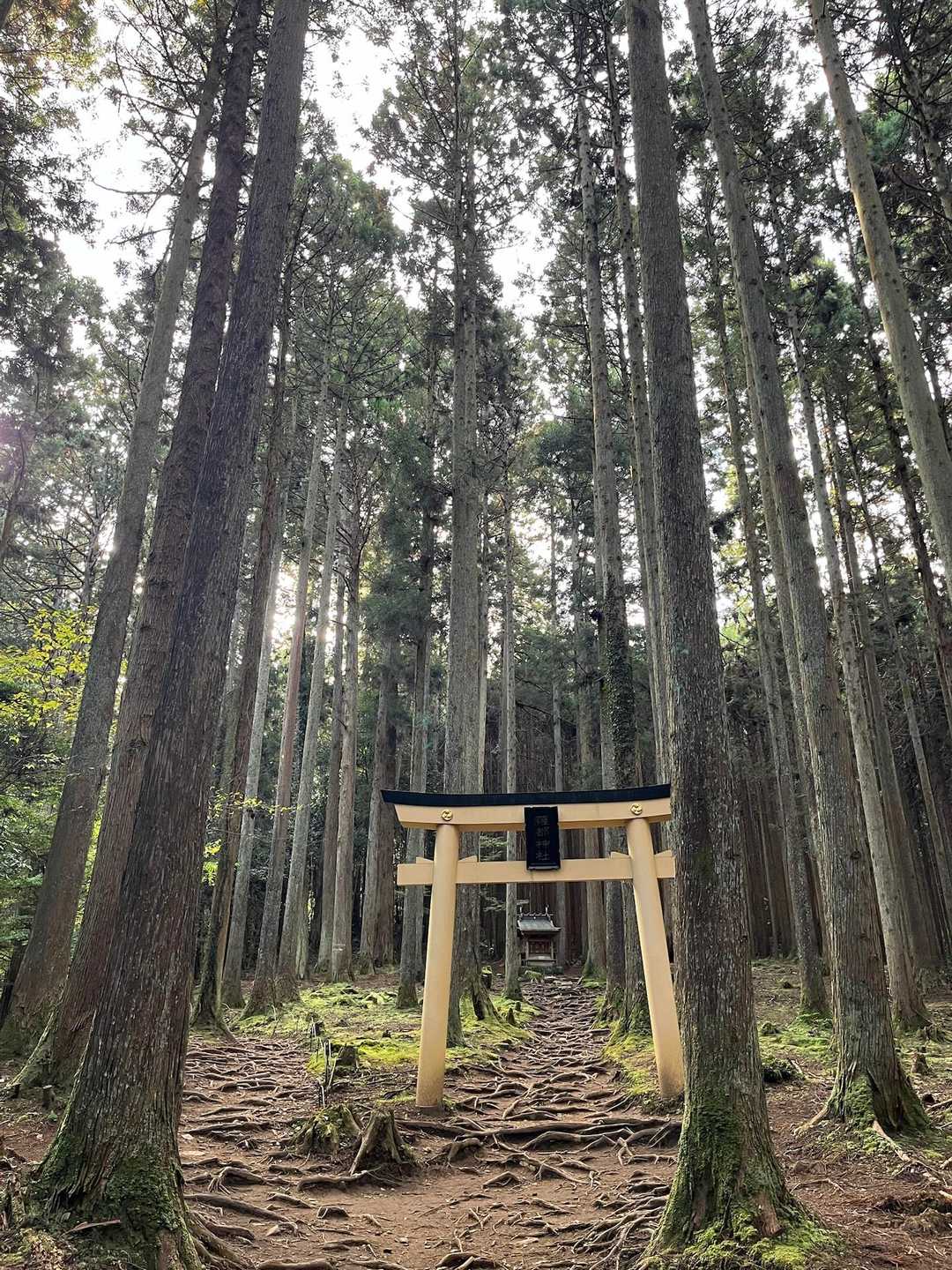 ひっそり佇む