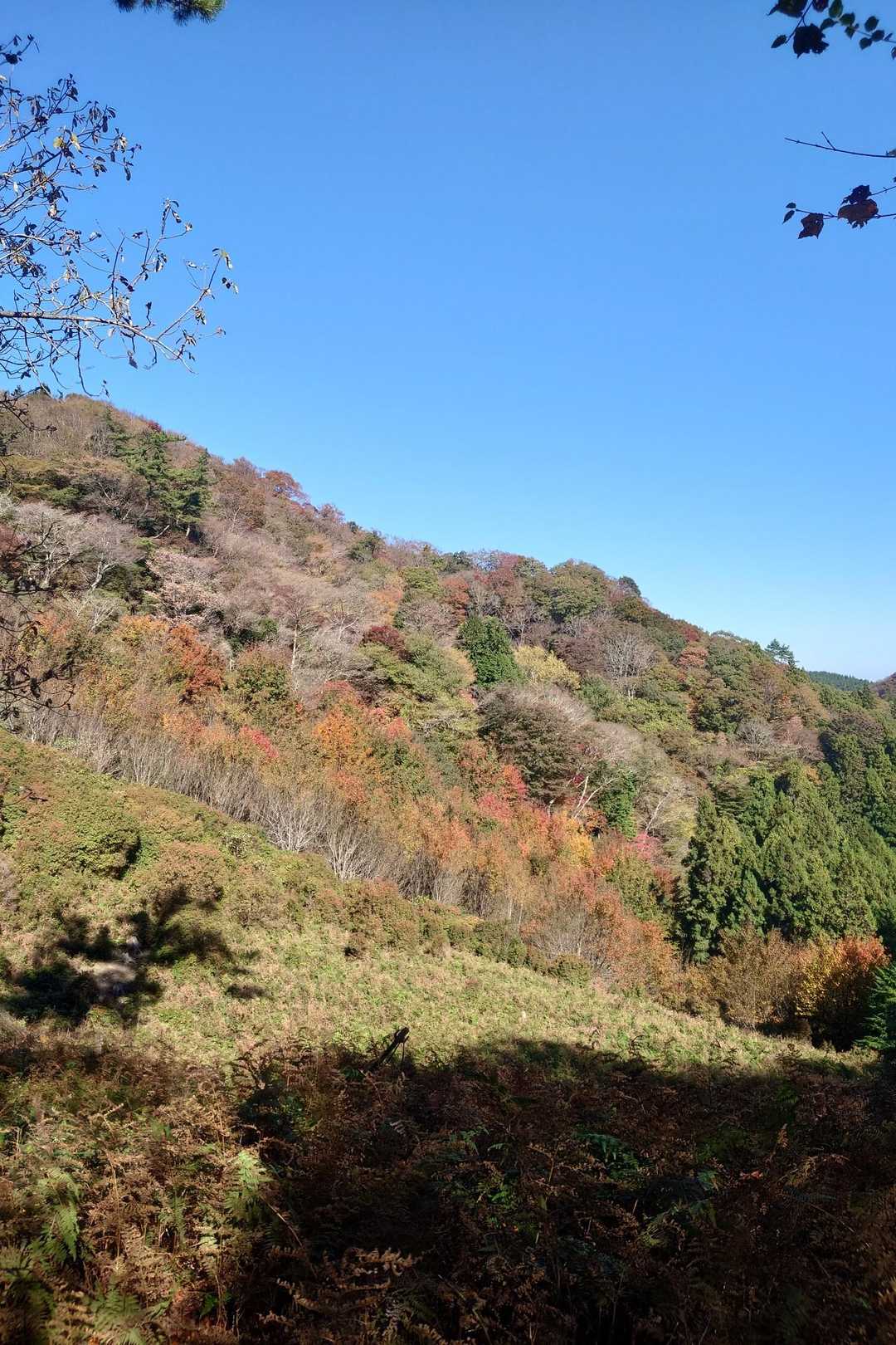 笹オトシ-オトシノ峰-小笹ノ峰-加島鉾 往復コースの写真
