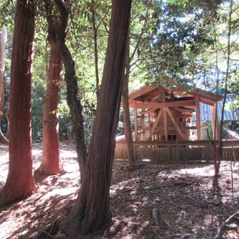 展望はありません