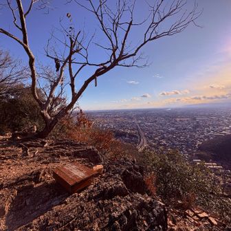 今年は23回鷹巣山に登ったっぽいです。
現在168。
このペースでは200回登頂は再来年🤣