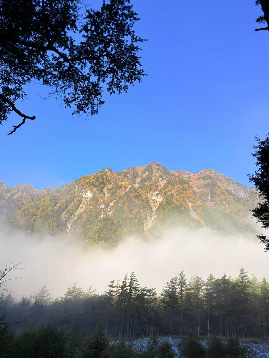 徳沢登山口-長塀山-蝶ヶ岳 周回コースの写真