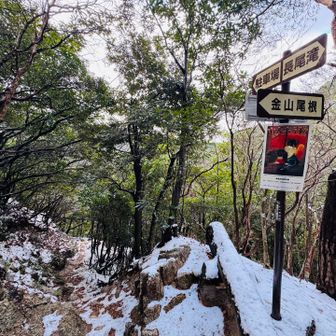 この先から雪が無くなりました