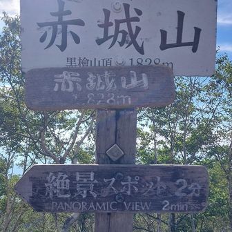 山頂は木々に囲まれていて展望が良くない。2分ほど先に進むと開けた展望ポイントあり。