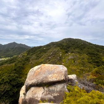 何を思って撮った写真かわからない
